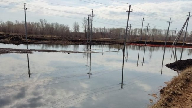 В поле после разгерметизации нефтепровода ООО «Газпромнефть Оренбург» осталось зловонное озеро