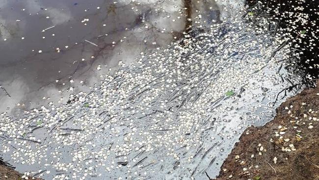 Разлив нефтепродуктов Оренбургнефти практически «добежал» до села