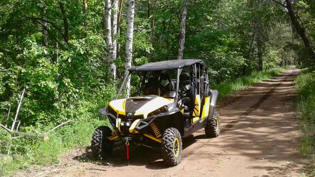 Любители гонок хотели устроить в Бузулукском бору заезд без правил 