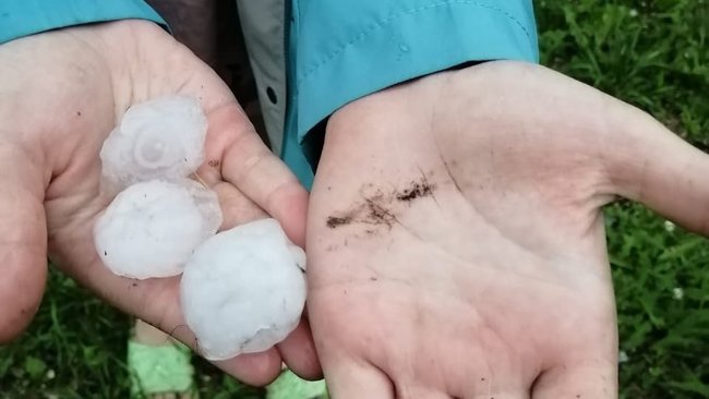 В одном из сел Оренбуржья выпал град с перепелиное яйцо, и ветер поломал деревья