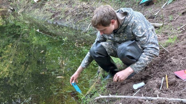 В Бузулукском бору так и не нашли тритонов