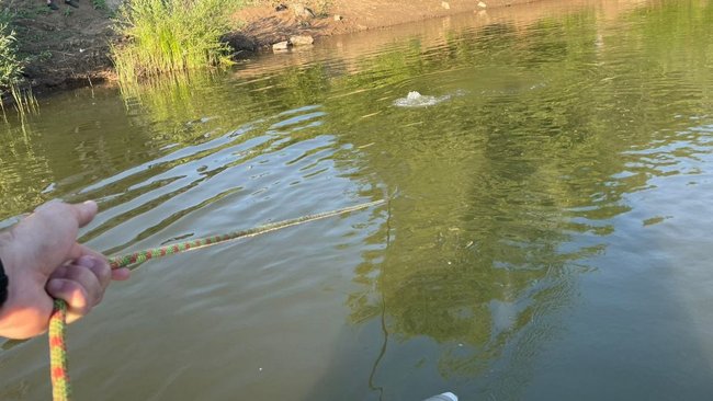 В Оренбуржье водолазы ищут двух утонувших в воскресенье девочек (18+)