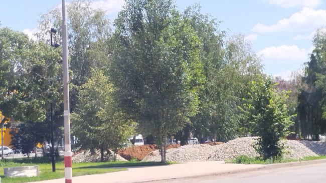 О детской площадке и засохших березах: администрация Бузулука ответила по поводу аллеи 