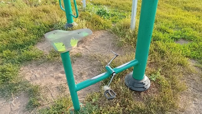 Раскуроченные тренажеры и разорванные топиарии: таким стал парк в Бузулуке