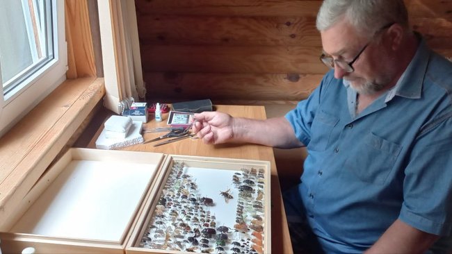 В Бузулукском бору прошла 