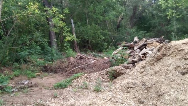 В районе бывшей Бузулукской лыжной базы устроили свалку