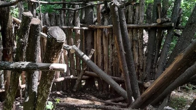 В Бузулукском бору браконьеры устроили ловушку для животных