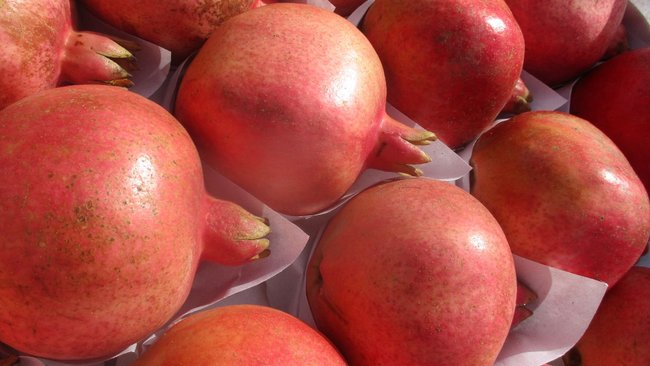 До прилавка не дошли: в Оренбуржье выявили заражённые вредителем гранаты