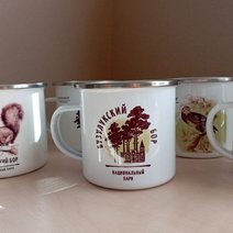 Бузулукский бор может предложить туристам не только впечатления 