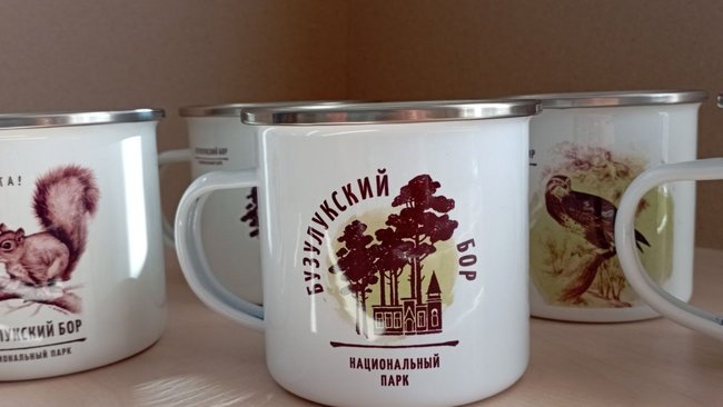 Бузулукский бор может предложить туристам не только впечатления 