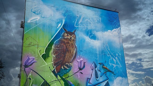 Бузулучане могут отдать голос за «Редкий мир» Оренбуржья на фестивале стрит-арта