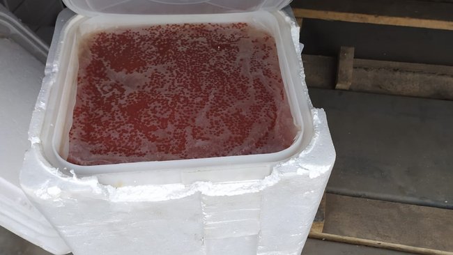 Около 23 тонн мяса и рыбы не пустили в Оренбуржье