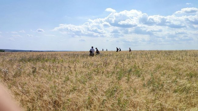 В Новосергиевском районе пройдут дополнительные поиски Ярослава
