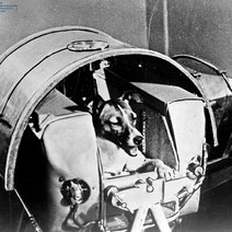 Первый лай из космоса донесся ровно 65 лет назад 