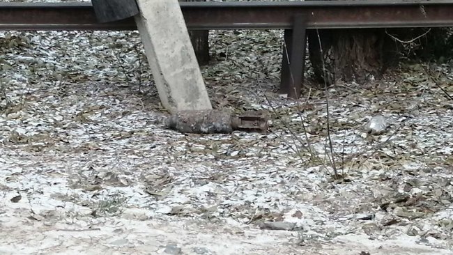 В Бузулуке полицейские оцепили место обнаружения снаряда