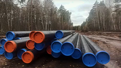В Бузулукском районе близ бора "по заказу" нефтяников валят лес