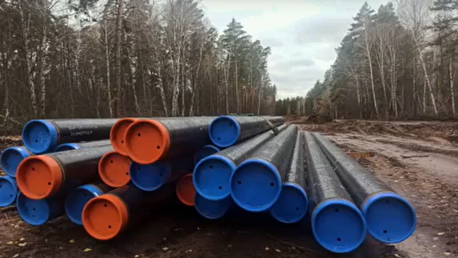 В Бузулукском районе близ бора 