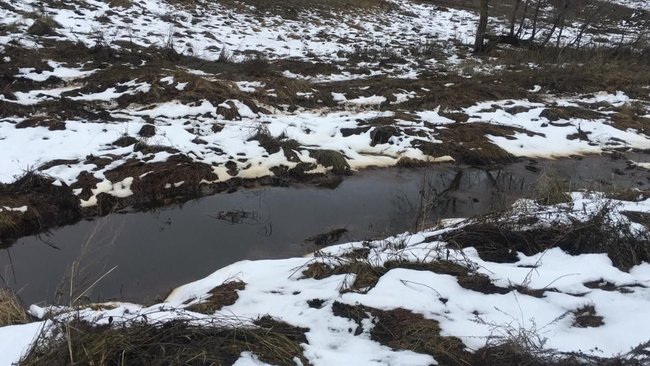 Обнаружен и обнародован источник 3-дневного едкого запаха нефтепродуктов в Новосергиевском районе