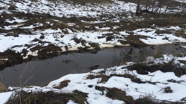 Обнаружен и обнародован источник 3-дневного едкого запаха нефтепродуктов в Новосергиевском районе