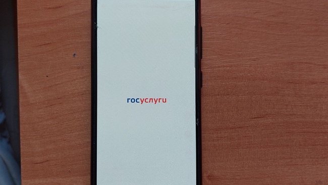 Куда пожаловаться оренбуржцам на бродячих собак, ямы на дорогах и темень