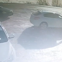 Специально или случайно: в Бузулуке на видео попал момент гибели пса под колесами авто (18+)