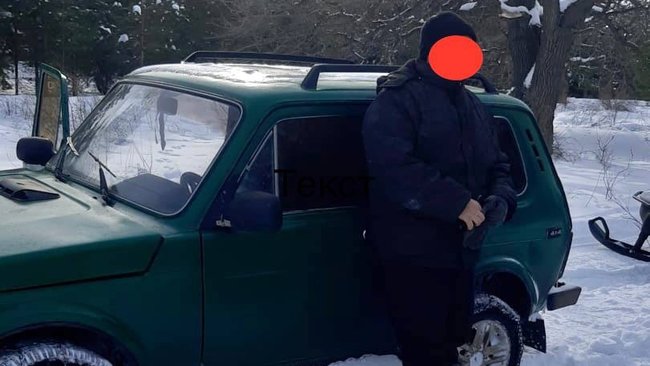 В Бузулукском бору мужчина срубил три дуба и теперь заплатит по-полной 