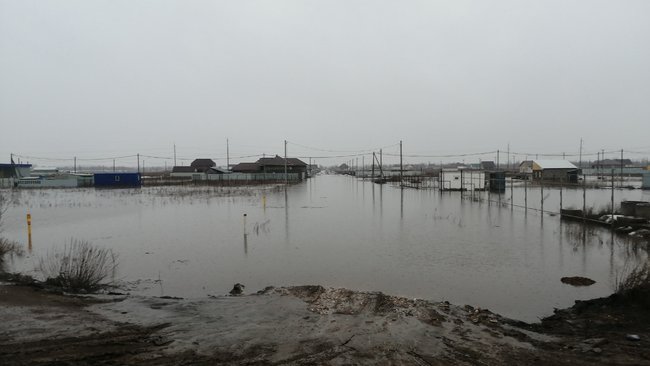В Новоалександровке, наконец, начали откачивать и вывозить воду
