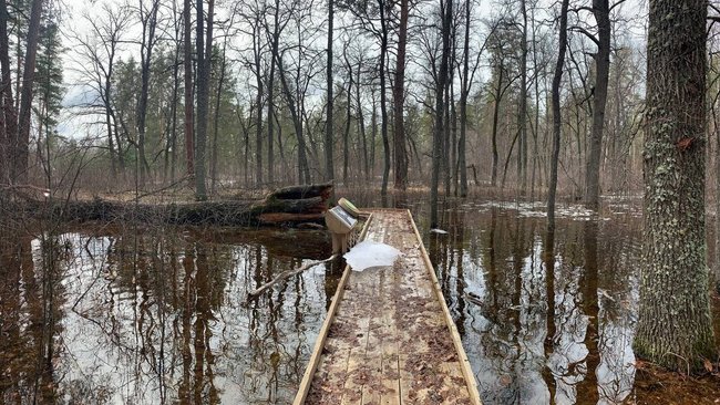 В Бузулукском бору вода подступила к экопарку 