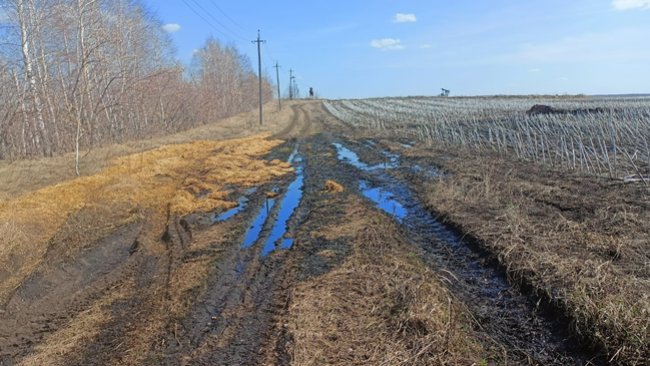 Кто виноват в разливе нефти у села Державино? 