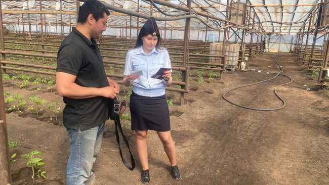 В теплицах под Бузулуком нелегально работали мигранты 