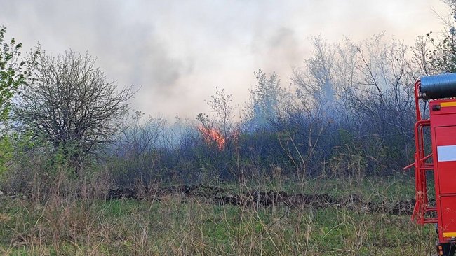 Пожар на дачах в Бузулуке тушили всю ночь