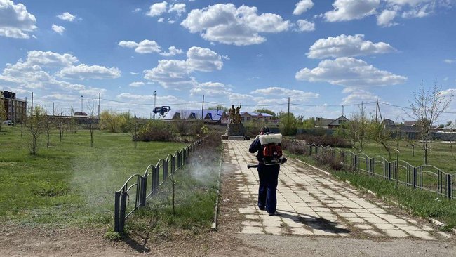 Парки и скверы Бузулука обработали от клещей 