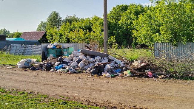 В поселке под Бузулуком, по словам людей, мусор не вывозят уже месяц