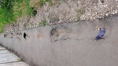 Не прошло и года: бузулучане считают ямы на обновленном тротуаре