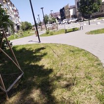 В центре Бузулука на обновленной территории высыхает газон 
