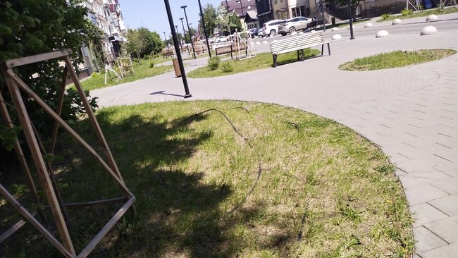 В центре Бузулука на обновленной территории высыхает газон 