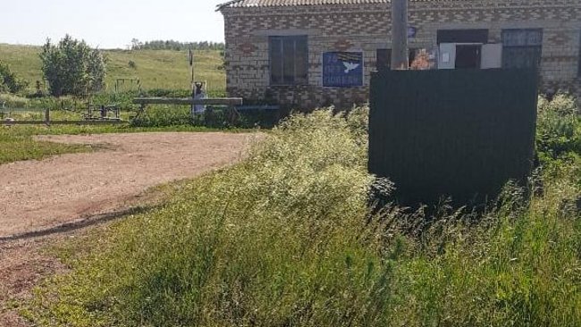 Трава по пояс: в Новой Казанке Бузулукского района сельчане жалуются на некошеные заросли