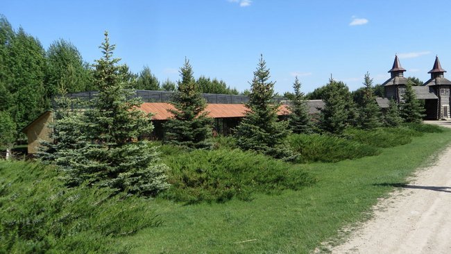 Чем закончилась проверка парка 