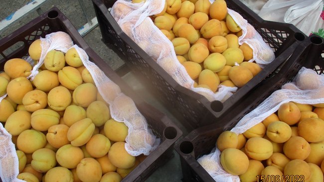 Больше 20 тонн сочных абрикосов не пустили в Оренбуржье