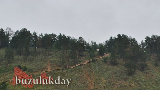 Многие бузулучане в этом году станут зрителями юбилейного Грушинского фестиваля