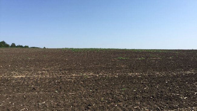 В Бузулукском районе еще 162 гектара 