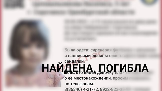 В Сорочинске волонтеры под проливным дождем ищут маленького ребенка