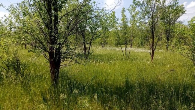 В Бузулукском районе сельскохозяйственника 