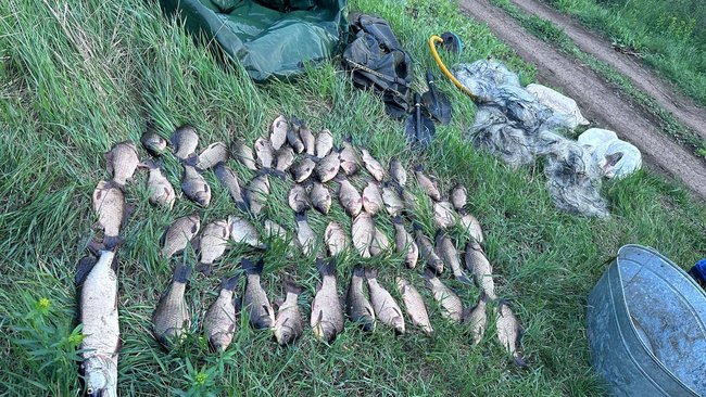 Шестерых браконьеров задержали в Бузулукском районе 