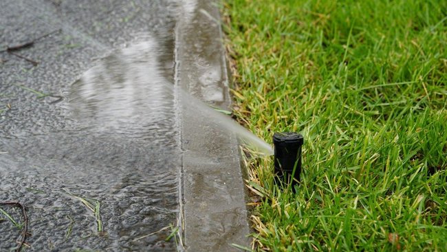 В Бузулуке полив на аллее 