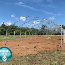 В Бузулукском бору продолжается возведение питомника 