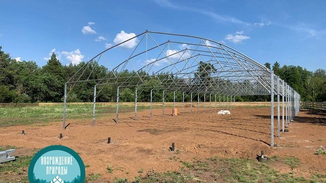 В Бузулукском бору продолжается возведение питомника 