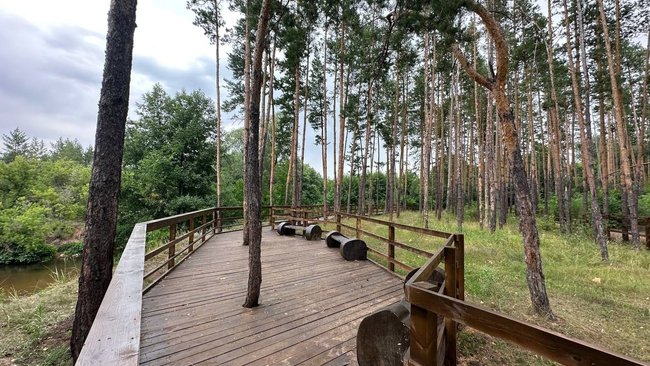 В Бузулукском бору построили новую смотровую площадку