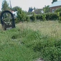 Поросло травой: в Бузулуке некоторые памятники уже не видно за бурьяном
