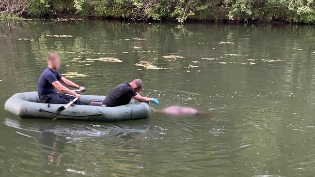 Вчера в Бузулуке из воды извлекли тело женщины (18+)